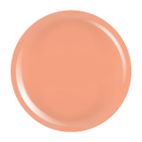 Cumpara ieftin Gel Colorat UV PigmentPro LUXORISE - Faded Rust, 5ml