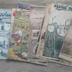 Lot 17 reviste Ogorul Nou/ 1948-1950