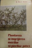 PLANTAREA SI INGRIJIREA MERILOR SI PERIILOR PITICI