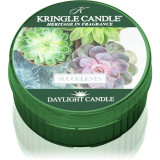 Kringle Candle Succulents lum&acirc;nare 42 g