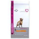 EUKANUBA GOLDEN RETRIEVER - 12 kg