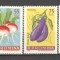 Romania.1963 Legume XR.455
