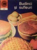 Budinci si Sufleuri - Elena Rusu, 1976, Ceres, Carte de Bucate Caleidoscop, Retete Culinare
