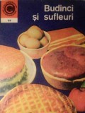 Budinci si Sufleuri - Elena Rusu, 1976, Ceres, Carte de Bucate Caleidoscop, Retete Culinare