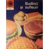 BUDINCI SI SUFLEURI-ELENA RUSU-353017