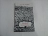 PEISAJ LAUNTRIC (POEZII) - Demostene ANDRONESCU