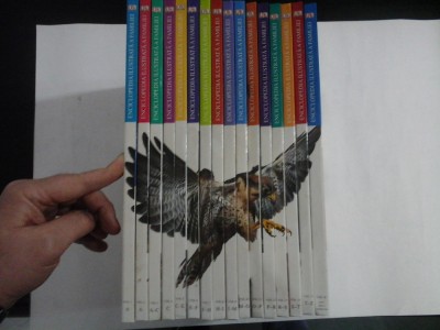 ENCICLOPEDIA ILUSTRATA A FAMILIEI - 16 volume - DK ( Colectiile Cotidianul) foto