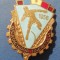QW9 N5 26 - insigna - tematica sport - Spartachiada tineretului - 1956