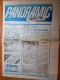 Panoramic radio-tv 31 mai - 6 iunie 1993