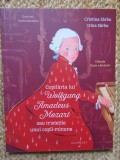 Copilaria lui Wolfgang Amadeus Mozart sau tristetile unui copil minune - Cristina Sarbu, Irina Sarbu