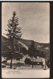 CPIB 22542 - CARTE POSTAL - POIANA BRASOV, CABANA &quot;CAPRA NEAGRA&quot;, RPR