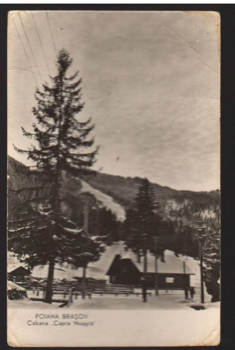 CPIB 22542 - CARTE POSTAL - POIANA BRASOV, CABANA &quot;CAPRA NEAGRA&quot;, RPR
