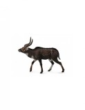 Figurina Antilopa Nyala L Collecta