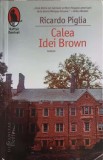 Calea Ideii Brown - Ricardo Piglia, Humanitas Fiction, 2016, Raftul Denisei, Roman
