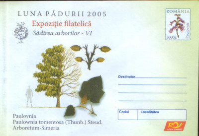 Intreg pos plic nec 2005 - Luna Padurii - Sadirea arborilor - Paulovnia foto