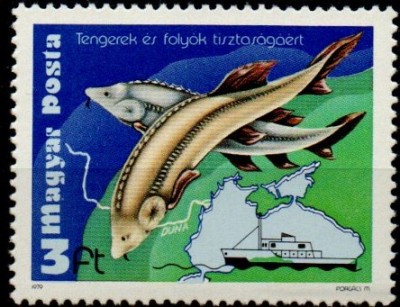 UNGARIA 1979, Fauna, MNH foto