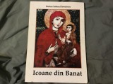 Icoane din Banat de Dorina Sabina Parvulescu anul 1997 !