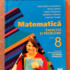 Matematica. Exercitii si probleme clasa 8 - Oana-Dana Cioraneanu, Rozica Stefan