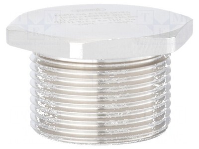 Capac de protec&amp;Aring;&amp;pound;ie NPT1 1/4 Filet: &amp;Atilde;&amp;reg;n &amp;Aring;&amp;pound;oli foto
