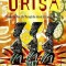 The Way of Orisa: Empowering Your Life Through the Ancient African Religion of Ifa