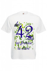 TRICOU IMPRIMEU DTG FUNNY DE 42 ANI TAI FRUNZE LA CAINI, tricou personalizat DTG foto