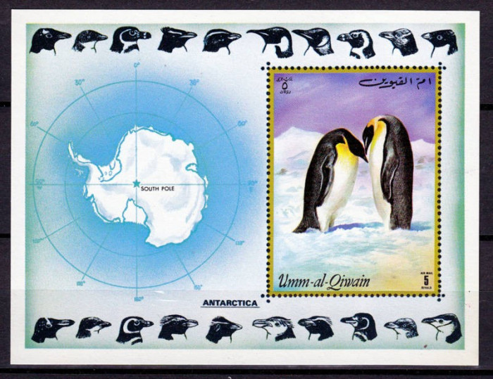 Umm al Qiwain 1971 Penguins, South Pole, imperf. sheet, MNH S.003