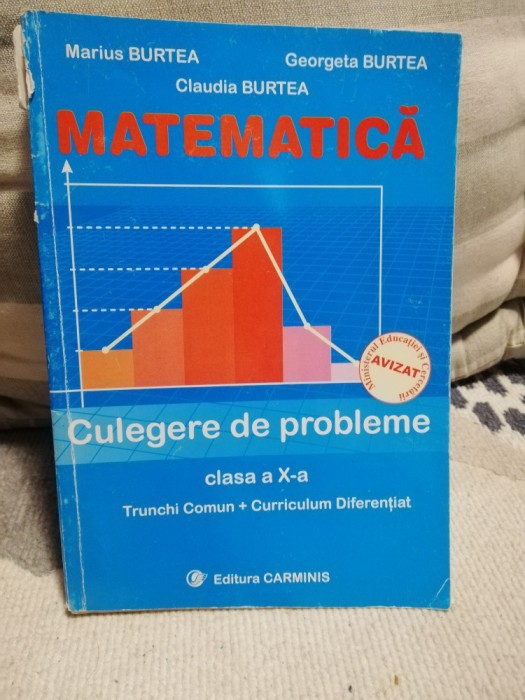 Culegere de probleme Matematica cl a X-a - Marius, Georgeta, Claudia Burtea