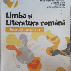 Exercitii practice de limba si literatura romana. Clasa 7, 2019, 238 pag