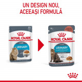 Royal Canin Urinary Care Adult hrană umedă pisică, sănătatea tractului urinar (&icirc;n sos), 12 x 85g