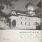 M. Davidescu - Manastirea Cozia