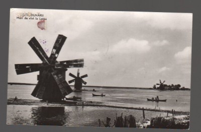 CPIB 19611 CARTE POSTALA - DELTA DUNARII. MORI DE VANT, RPR foto