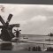 CPIB 19611 CARTE POSTALA - DELTA DUNARII. MORI DE VANT, RPR