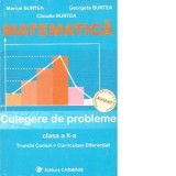 Matematica. Culegere de probleme. Clasa a X-a. Trunchi comun+curriculum diferentiat