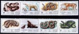 Rusia 1977 - Fauna 8v.serie completa,neuzata,perfecta stare(z)