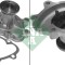 INA 538 0096 10 Pompă de apă, răcire motor