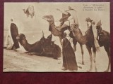 Tunisia 1912 - vedere necirculata