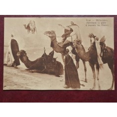 Tunisia 1912 - vedere necirculata