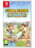 Story Of Seasons Wonderful Life NSW