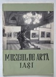 MUZEUL DE ARTA IASI