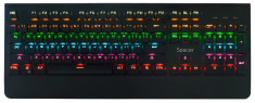 Tastatura Gaming Mecanica Spacer, Iluminata, USB, Switch-uri mecanice albastre, 104 taste, 26 taste anti-ghosting, Negru, SPKB-MK-01 foto