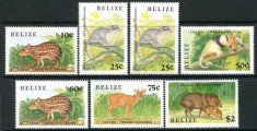 BELIZE 1989 FAUNA foto