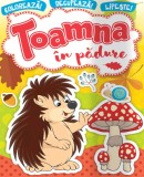 Toamna in padure |