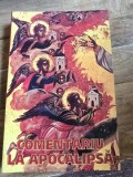 COMENTARIU LA APOCALIPSA - SAVAS AQUARIDIS