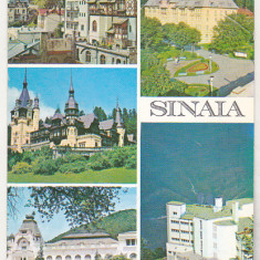 bnk cp Sinaia - Vedere - circulata