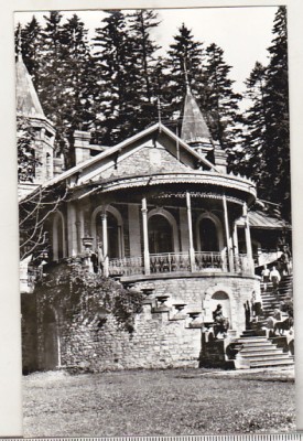 bnk cp Sinaia - Casa pionierilor - necirculata foto