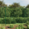 vidaXL Gard plasă de s&acirc;rmă cu țăruși de fixare, verde, 1,8x25 m