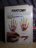 WYNN KAPIT - THE ANATOMY / COLORING BOOK , NEW YORK , 1977