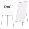 Flipchart magnetic 70x100 cm, cu inaltime reglabila maxim 170 cm , suport markere