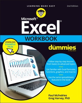 Excel Workbook for Dummies foto