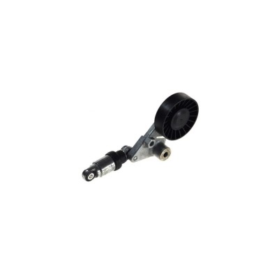 Intinzator curea OPEL ASTRA G hatchback F48 F08 DAYCO APV2269 foto